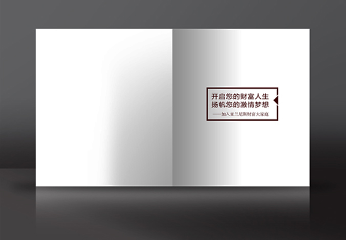 畫冊設(shè)計，標(biāo)志設(shè)計，VI設(shè)計，交互設(shè)計，包裝設(shè)計，空間導(dǎo)示，數(shù)志視頻，廣告創(chuàng)意設(shè)計，博納設(shè)計