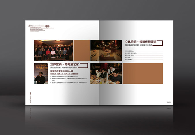 畫冊設(shè)計，標(biāo)志設(shè)計，VI設(shè)計，交互設(shè)計，包裝設(shè)計，空間導(dǎo)示，數(shù)志視頻，廣告創(chuàng)意設(shè)計，博納設(shè)計