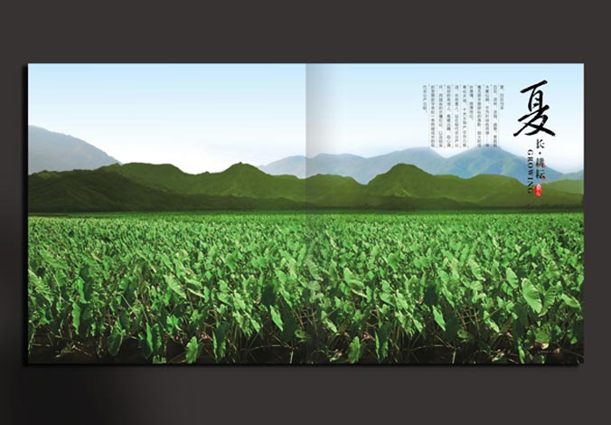 畫冊(cè)設(shè)計(jì)，標(biāo)志設(shè)計(jì)，VI設(shè)計(jì)，交互設(shè)計(jì)，包裝設(shè)計(jì)，空間導(dǎo)示，數(shù)志視頻，廣告創(chuàng)意設(shè)計(jì)，博納設(shè)計(jì)