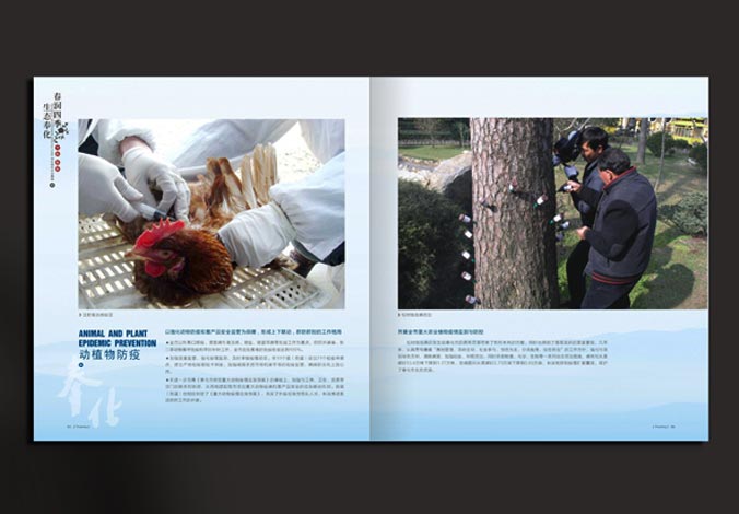 畫冊(cè)設(shè)計(jì)，標(biāo)志設(shè)計(jì)，VI設(shè)計(jì)，交互設(shè)計(jì)，包裝設(shè)計(jì)，空間導(dǎo)示，數(shù)志視頻，廣告創(chuàng)意設(shè)計(jì)，博納設(shè)計(jì)