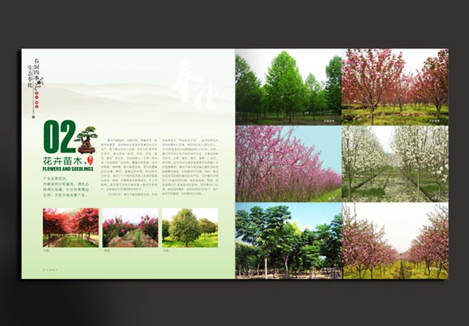 畫冊(cè)設(shè)計(jì)，標(biāo)志設(shè)計(jì)，VI設(shè)計(jì)，交互設(shè)計(jì)，包裝設(shè)計(jì)，空間導(dǎo)示，數(shù)志視頻，廣告創(chuàng)意設(shè)計(jì)，博納設(shè)計(jì)