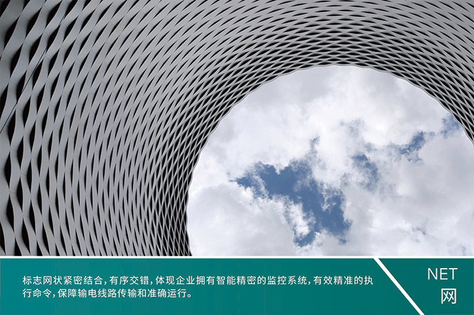 商標(biāo)設(shè)計(jì)，產(chǎn)品商標(biāo)設(shè)計(jì)，logo設(shè)計(jì)   中國(guó)電科院-風(fēng)險(xiǎn)智控系統(tǒng)