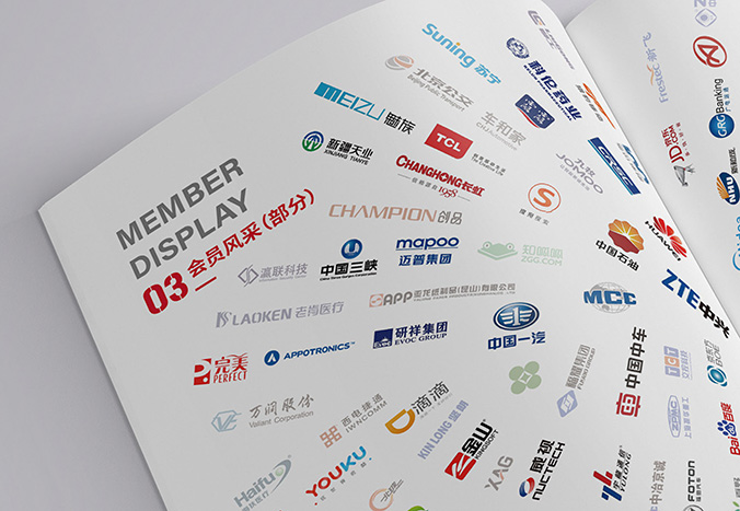中國專利保護(hù)協(xié)會  宣傳冊設(shè)計,產(chǎn)品畫冊設(shè)計,畫冊設(shè)計